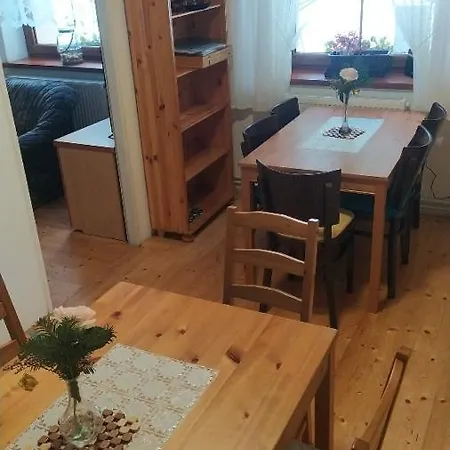 Zdenko S Wellness